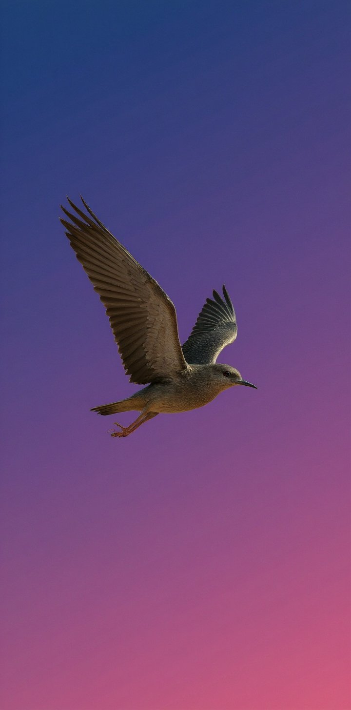 a bird flying in the purple wallpaper